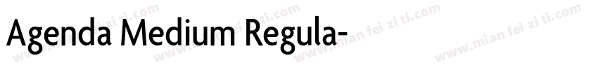 Agenda Medium Regula字体转换